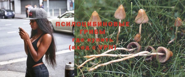 a pvp Алексин