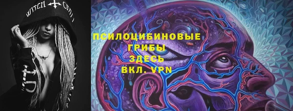 молекула духа Алексеевка