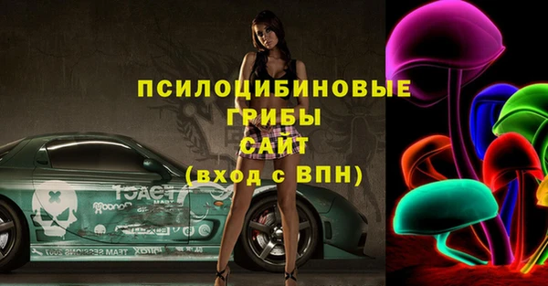 молекула духа Алексеевка