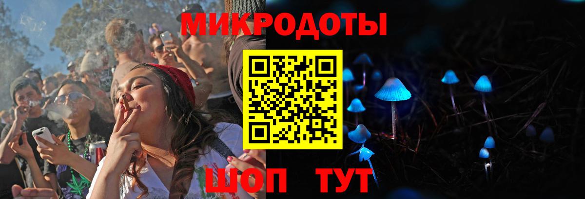 Псилоцибиновые грибы Cubensis Черногорск